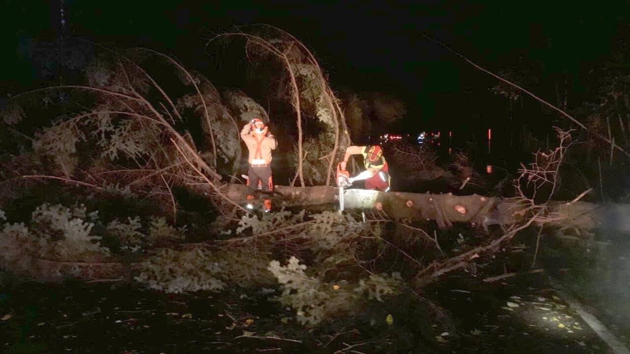 Durch einen Windstoß stürzte auf Höhe Wartberg ein Baum um - die Freiwillige Feuerwehr Großgmain war im Einsatz.  