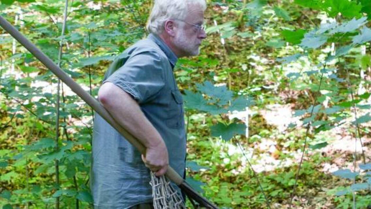 Junger Gepard aus Gehege in Nürnberg entflohen