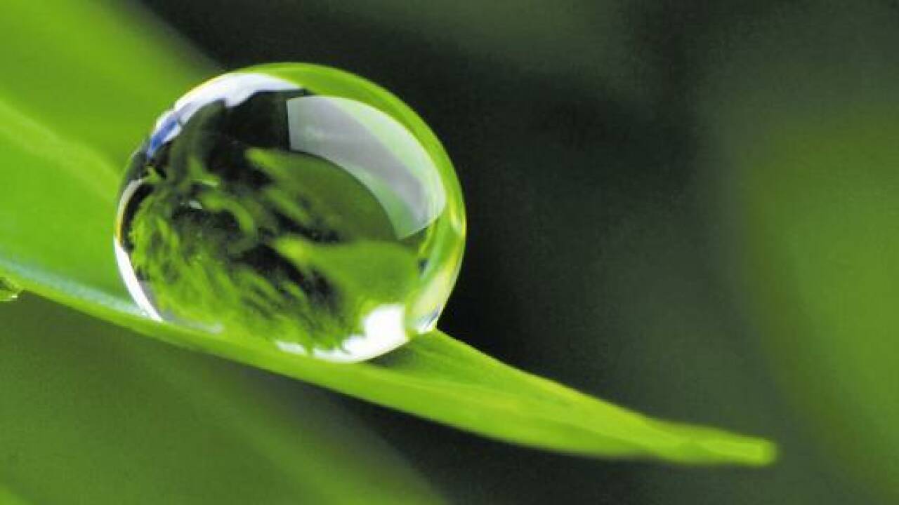 Wunder Wasser: Es kann fühlen und hat ein Gedächtnis