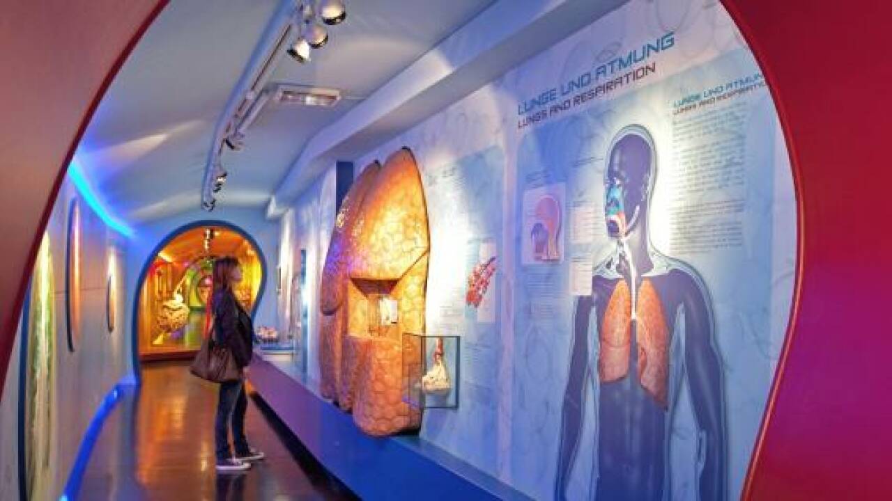 Haus der Natur: "Reise in den menschlichen Körper"