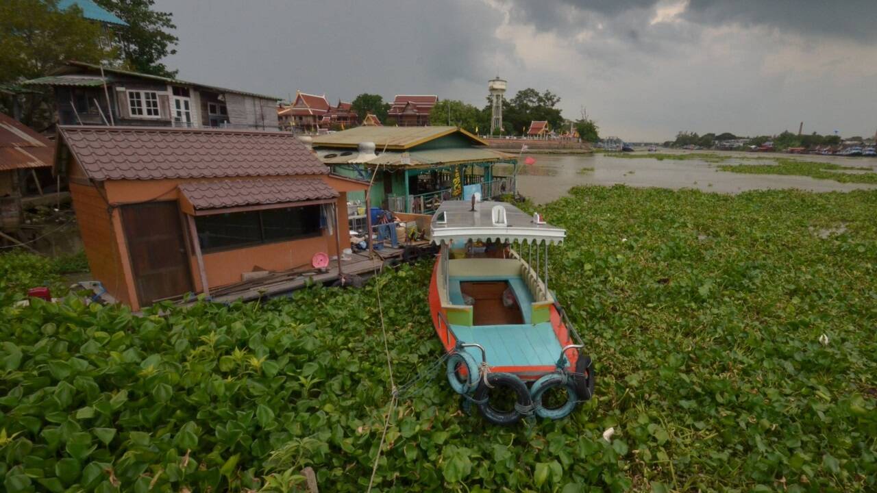 Start zur Bootstour am Chao Phraya nahe Ayutthaya. 