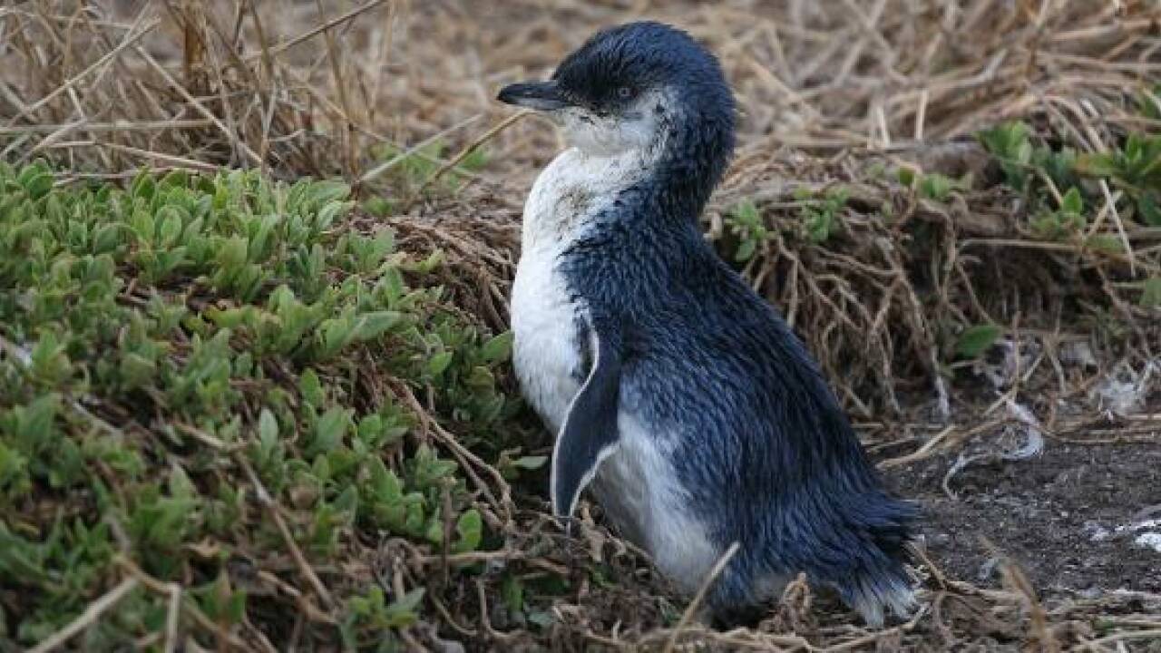 Wir suchen uns zu Tode Wir suchen uns zu Tode