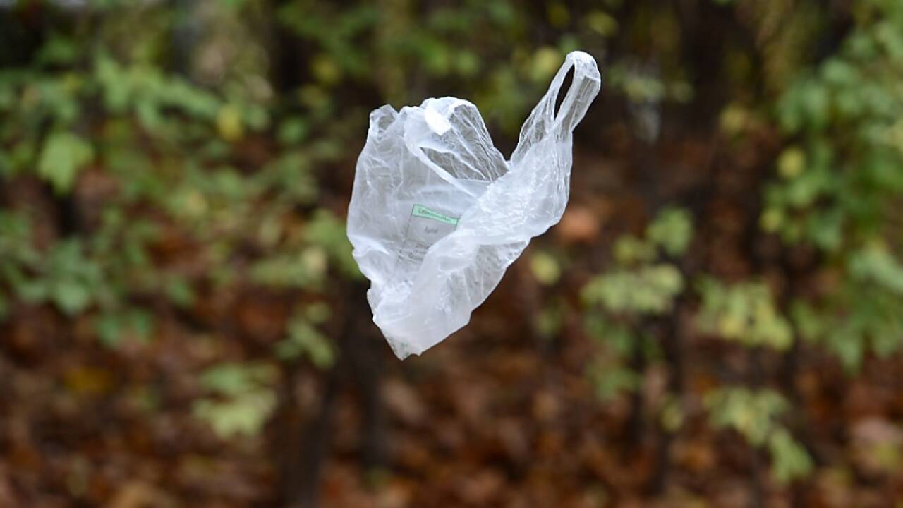 Dem Plastiksackerl soll der Garaus gemacht werden 