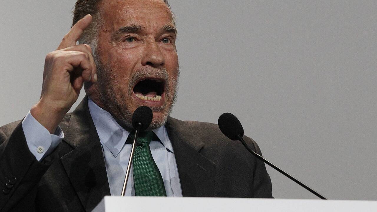 Arnold Schwarzenegger beim Klimagipfel in Polen. 