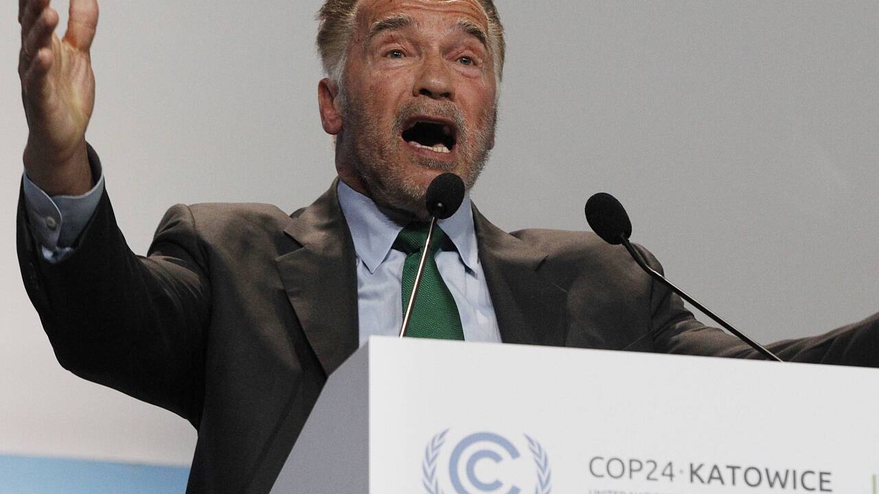 Arnold Schwarzenegger beim Klimagipfel in Polen. 