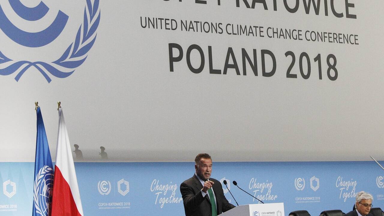 Arnold Schwarzenegger beim Klimagipfel in Polen. 