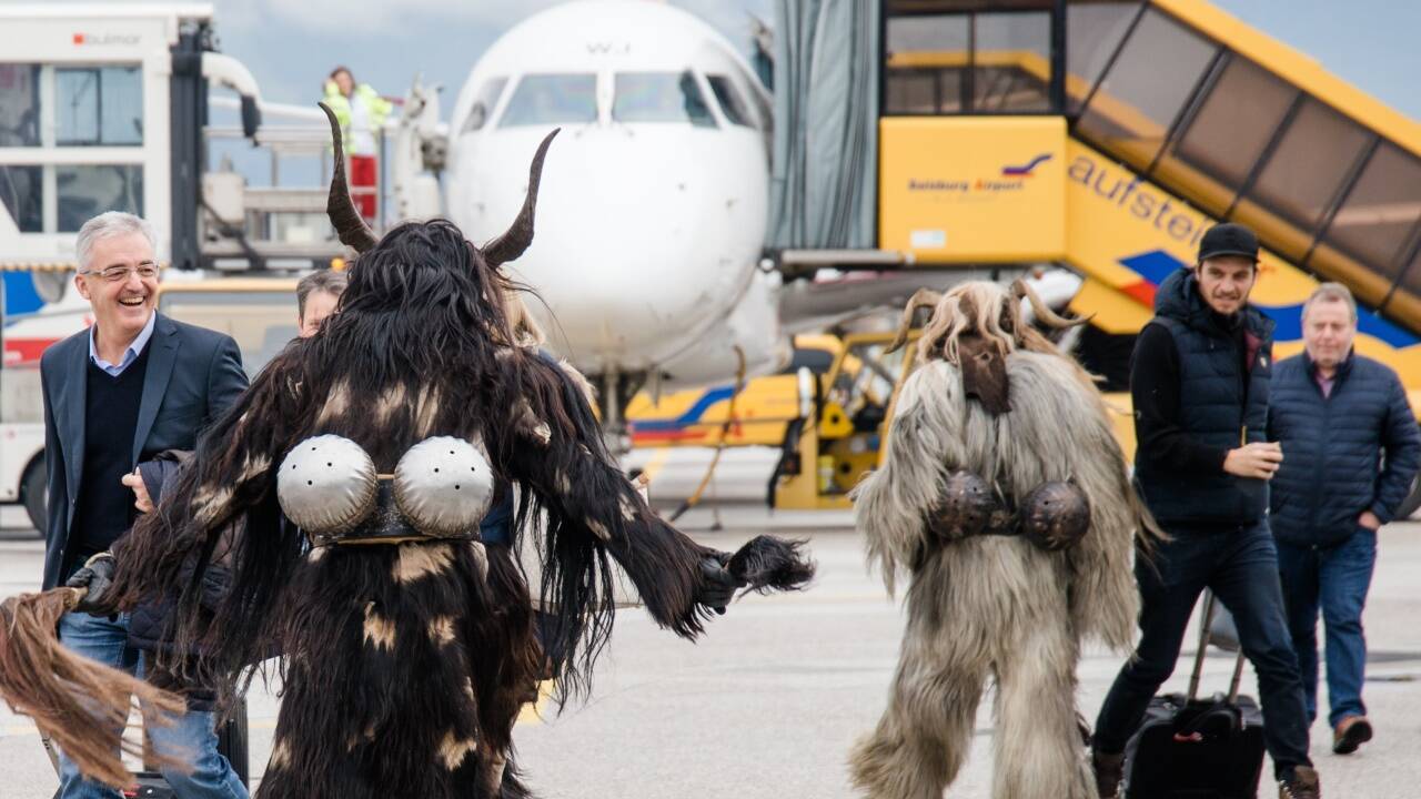 Ein etwas anderes Begrüßungskommittee. Ein etwas anderes Begrüßungskommittee.