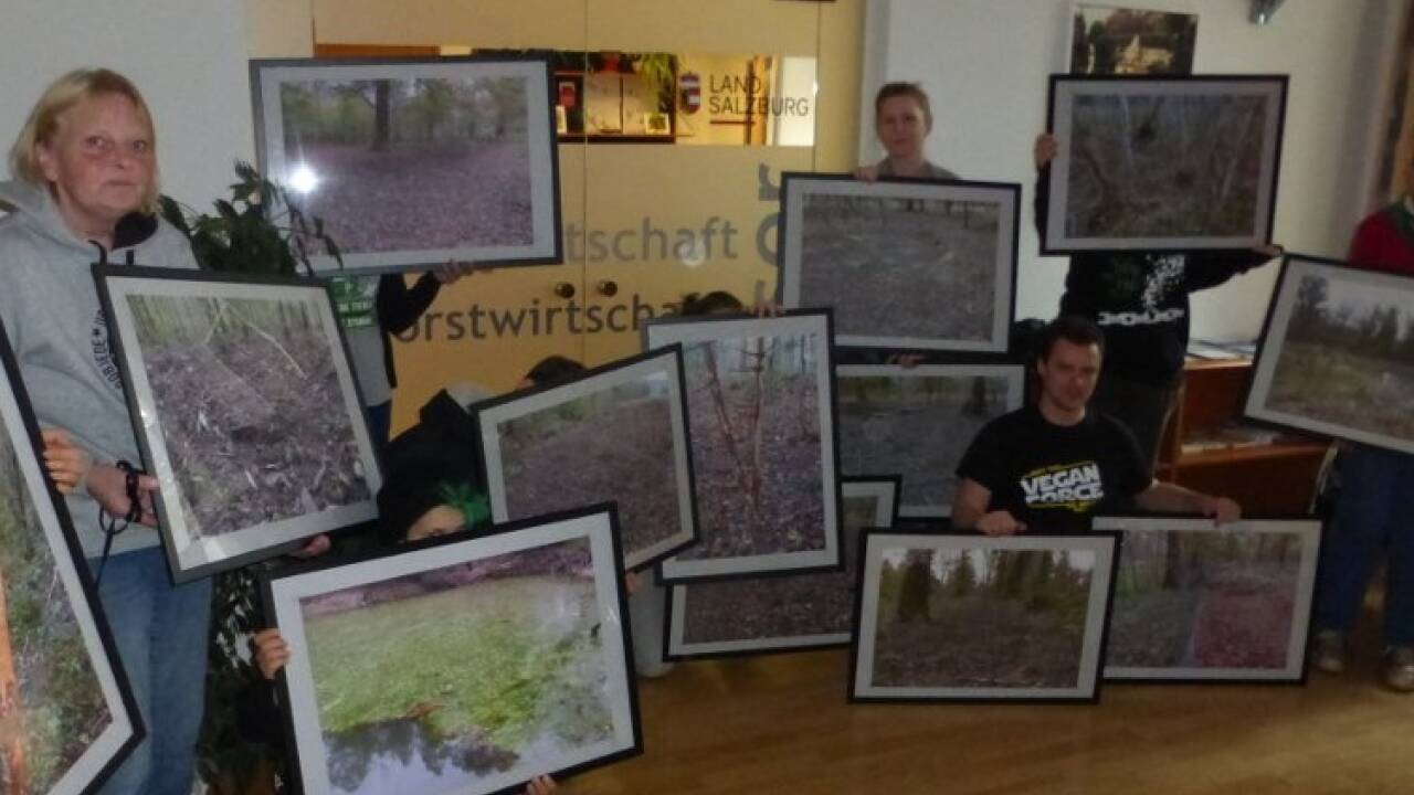 Am Dienstag ab 10 Uhr waren die Aktivisten des Verein gegen Tierfabriken in der Kaigasse mit Bildern aus der Antheringer Au präsent und ließen sich bis 19 Uhr nicht mehr aus dem Büro des Landesrates bringen.  