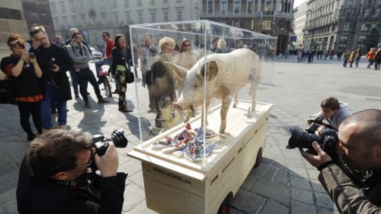 Eine Sau gegen die Gier in der Wiener Innenstadt