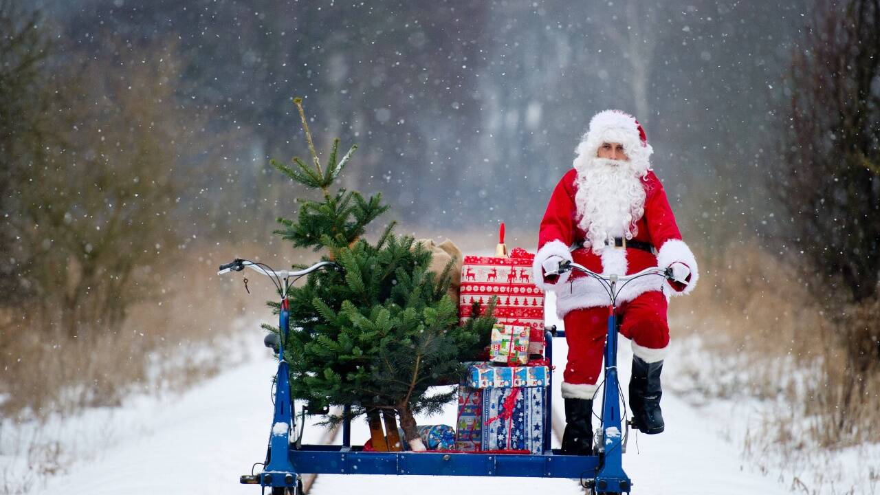 Ein echter Baum macht gute Stimmung und ist klimafreundlich.  