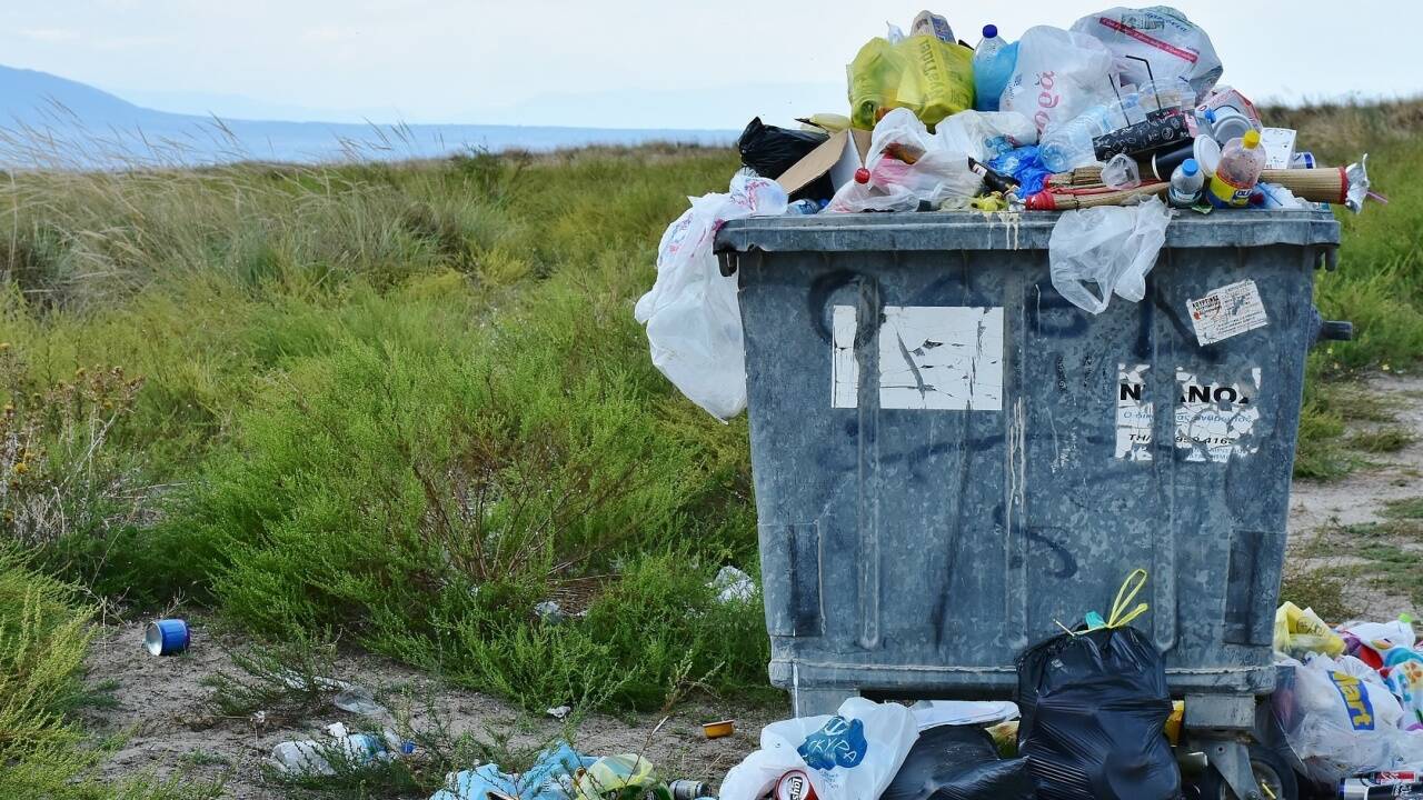 Bringt Recycling etwas? Sind abbaubare Biomüllsackerl wirklich besser als Papier? Bringt Recycling etwas? Sind abbaubare Biomüllsackerl wirklich besser als Papier?