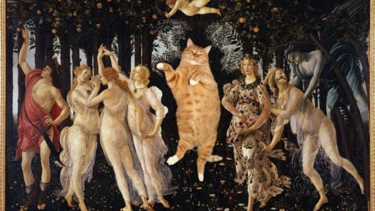 Fat Cat Art - Katzen sind beliebter als Pornografie