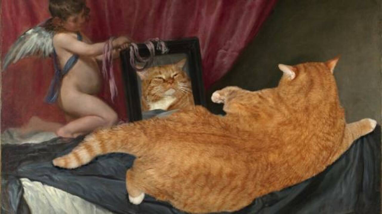 Fat Cat Art - Katzen sind beliebter als Pornografie