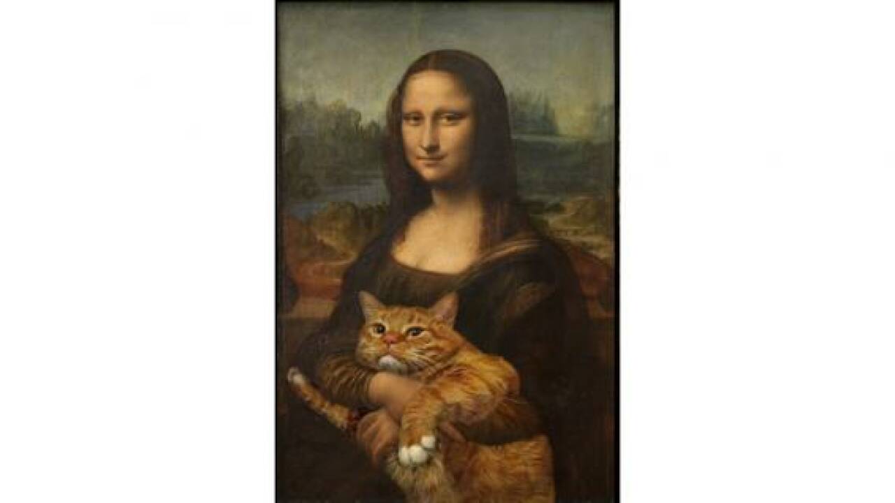 Fat Cat Art - Katzen sind beliebter als Pornografie