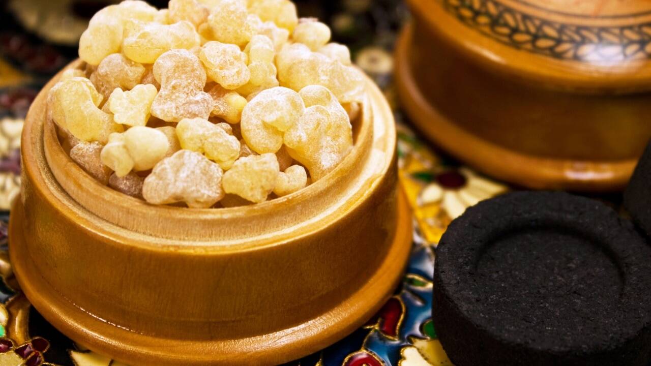 Weihrauch wird gewonnen, indem man die Rinde des Boswelliabaums einkerbt. Dann tropft das Harz in einen Behälter und wird so abgezapft. Weihrauch wird gewonnen, indem man die Rinde des Boswelliabaums einkerbt. Dann tropft das Harz in einen Behälter und wird so abgezapft.