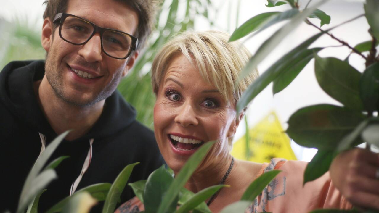 Daniel Hartwich und Sonja Zietlow moderierten auch das Dschungelcamp 2020. Daniel Hartwich und Sonja Zietlow moderierten auch das Dschungelcamp 2020.