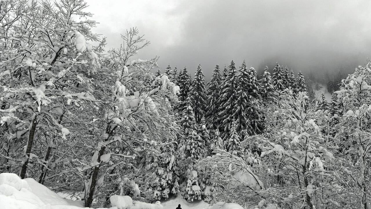 In weiten Teilen Salzburgs sind in den letzten Tagen erhebliche Mengen an Schnee gefallen, etwa hier in Niedertauern. 