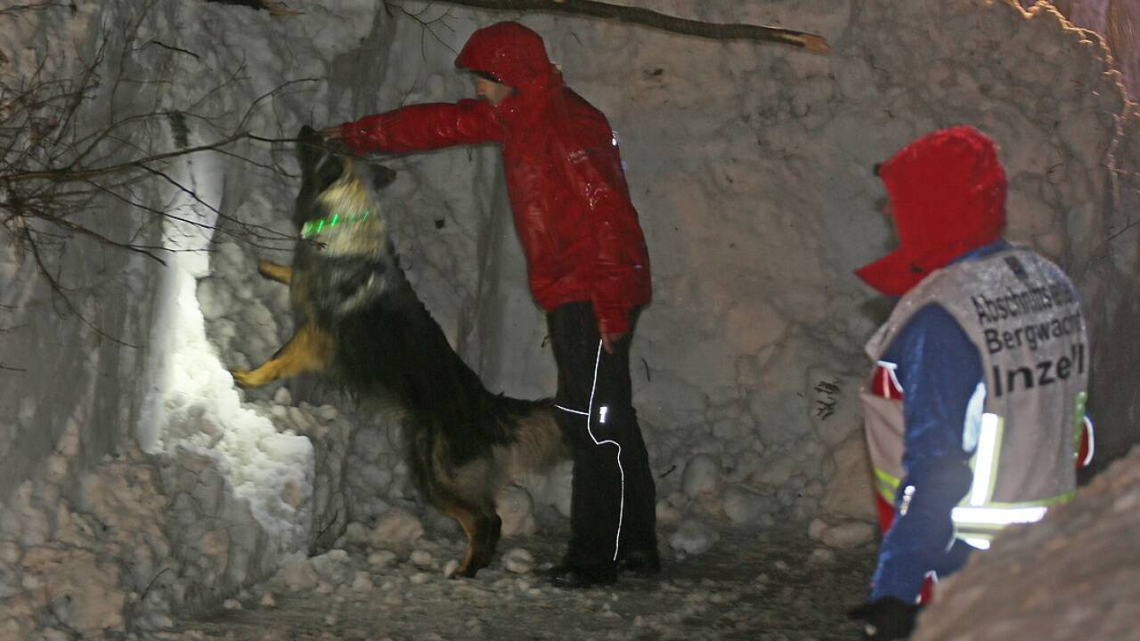 Bei der Suche waren auch zwei Suchhunde im Einsatz.  