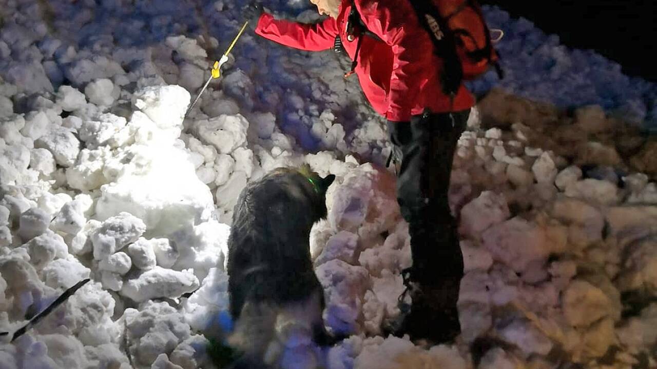 Suche nach allfälligen Verschütteten: Mit dem Suchhund und mit der Sonde.  