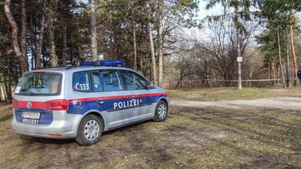 Der Tatort in einem Park in Wiener Neustadt Der Tatort in einem Park in Wiener Neustadt