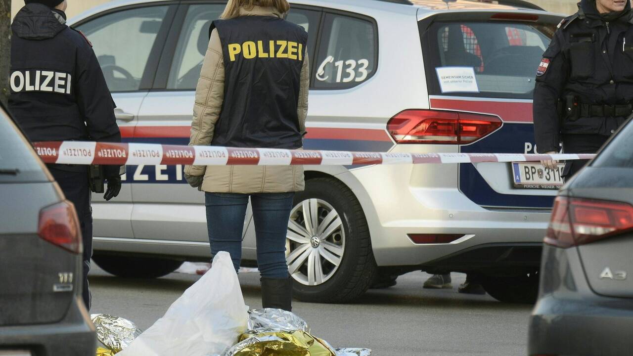 Der jüngste Mordfall: Eine 32-jährige Frau wurde am Montag auf dem Parkplatz eines Lebensmittelmarktes in Tulln in den Halsbereich gestochen.Sie starb an Ort und Stelle. 