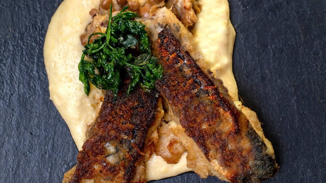Kräftiger Fisch verträgt auch kräftige Beilagen. Hier können wir uns austoben!  