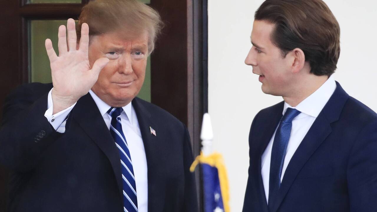 Eine Grundregel der Körpersprache: „Alphatiere lassen sich anschauen.“ Eine Grundregel der Körpersprache: „Alphatiere lassen sich anschauen.“