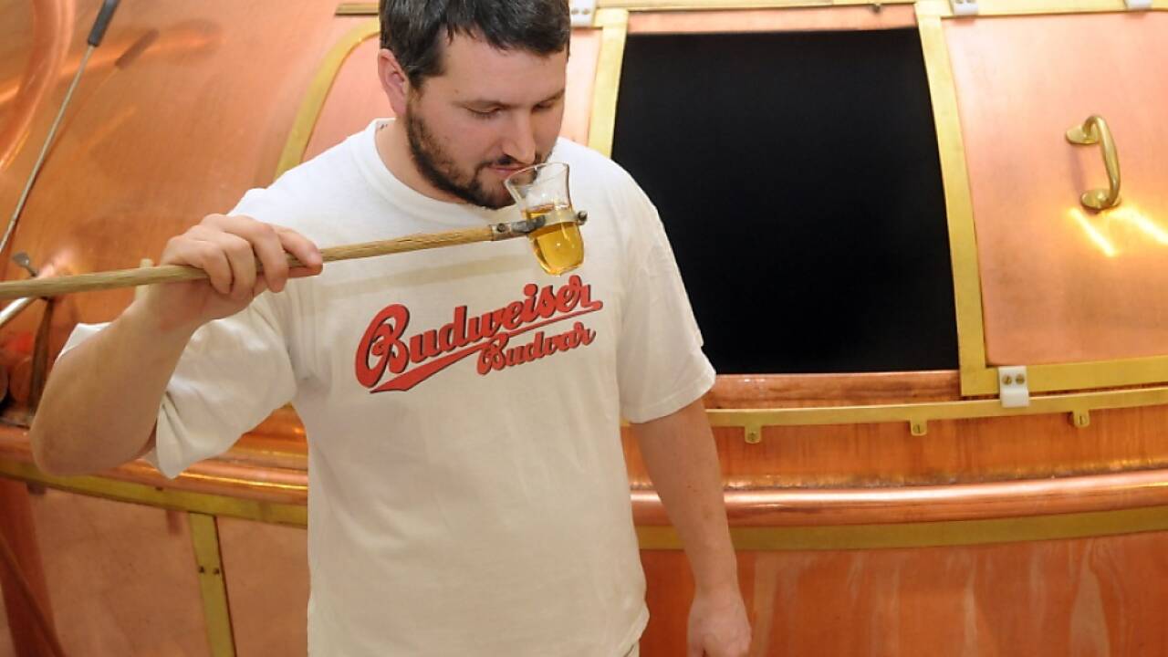 Tschechischem Bier geht es von Seite Polens an den Kragen Tschechischem Bier geht es von Seite Polens an den Kragen