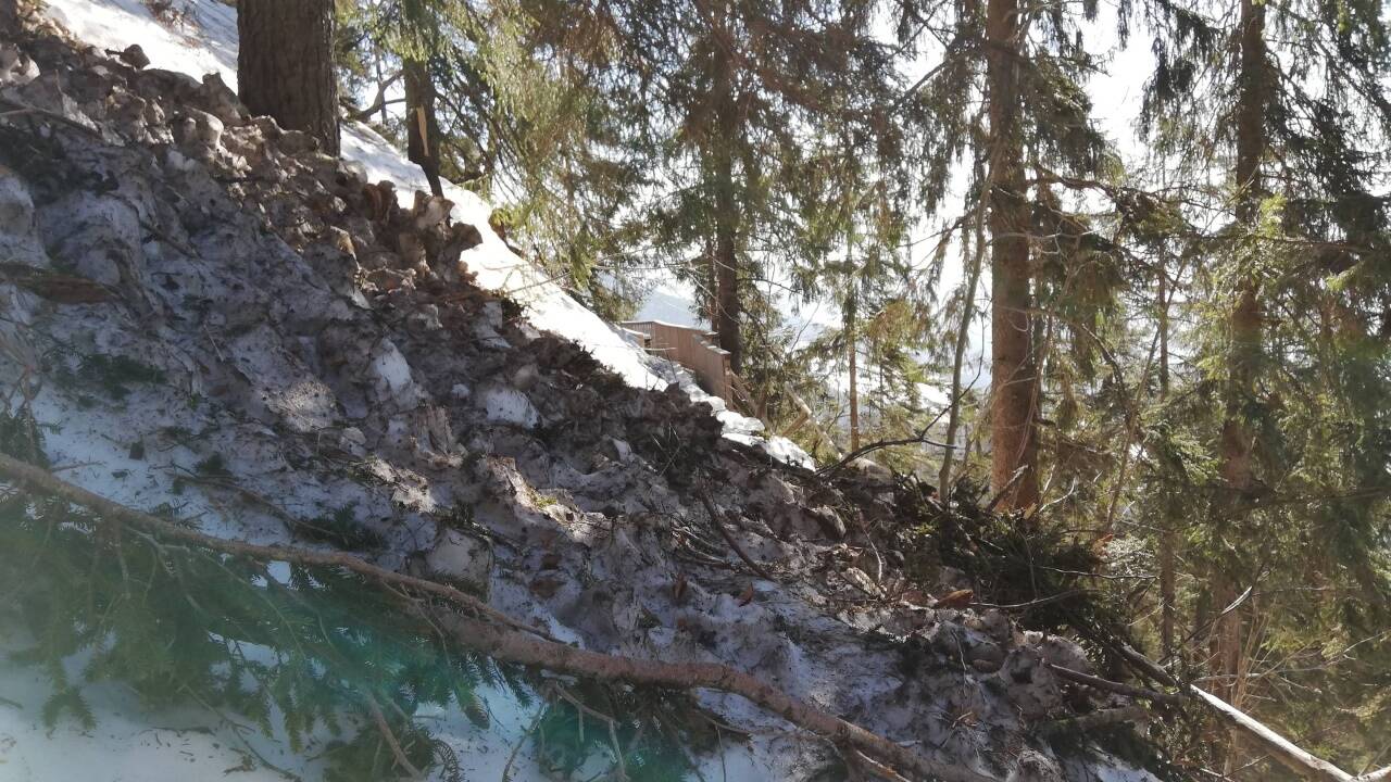 Zahlreiche umgeknickte Bäume behindern die Schneeräumung. 