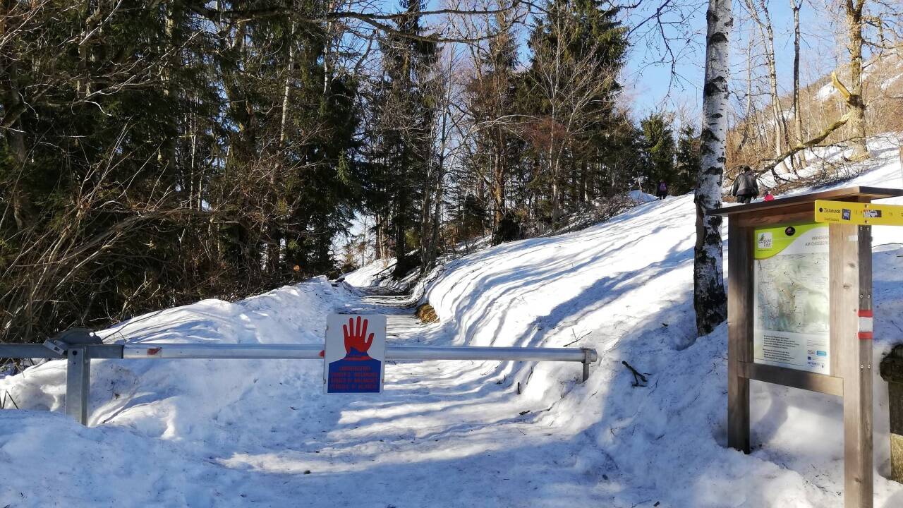 Der Gaisberg-Rundwanderweg soll Mitte März freigegeben werden. Spaziergänger müssen derzeit auf die Zistelrunde ausweichen. 