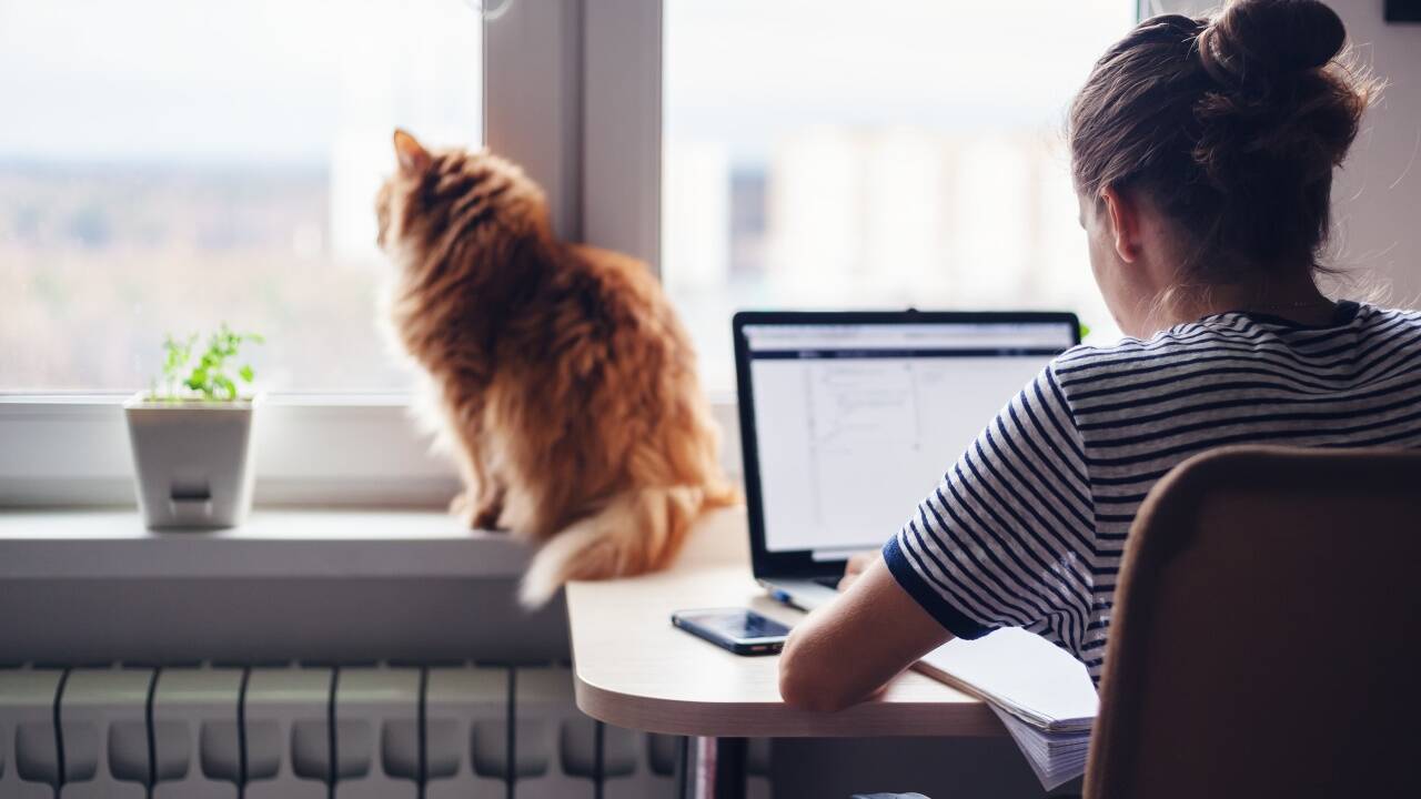 Wenige nutzen Homeoffice – noch. 