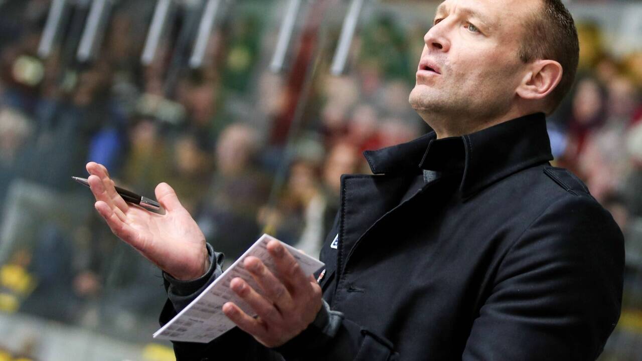 Zwei Saisonen, vier Pokale: Dan Ratushny war Salzburgs einziger Cheftrainer mit makelloser Bilanz. 