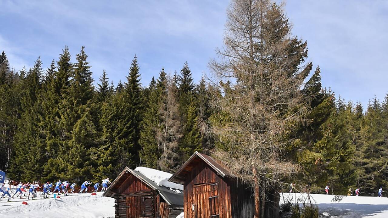 Die nordische Ski-WM war auch Werbung für Tirol Die nordische Ski-WM war auch Werbung für Tirol
