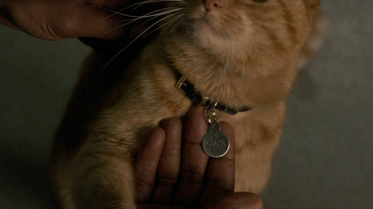 Bilder zum Film „Captain Marvel“.  Bilder zum Film „Captain Marvel“.