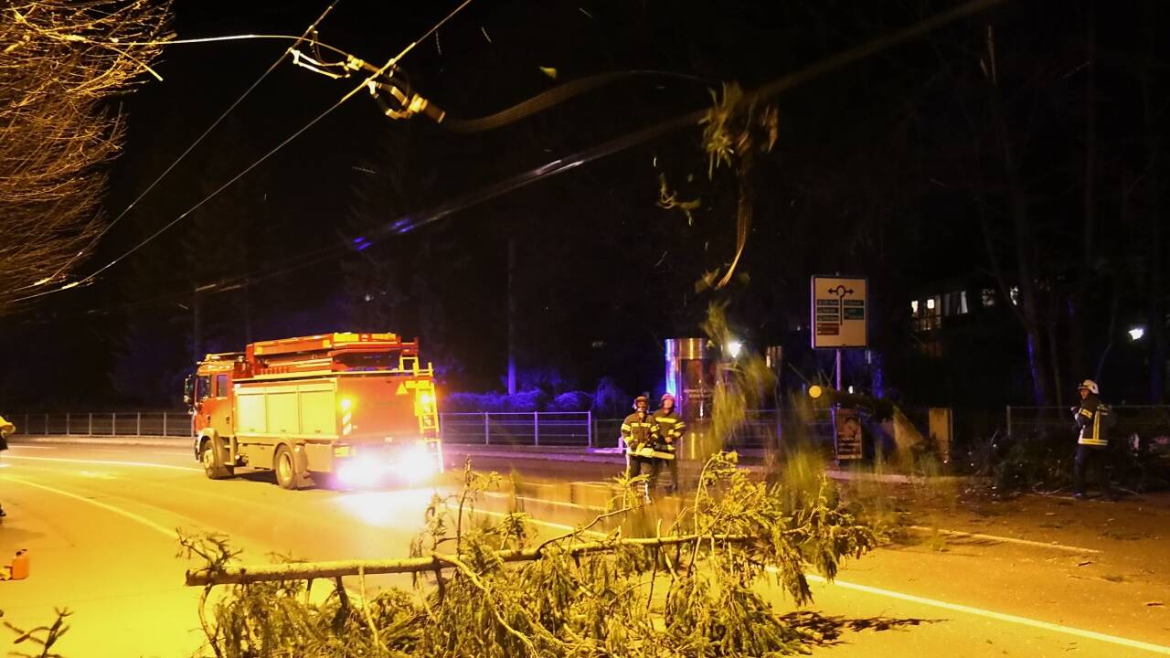 In der Stadt Salzburg musste die Feuerwehr eine Oberleitung von einem umgestürzten Baum befreien.  In der Stadt Salzburg musste die Feuerwehr eine Oberleitung von einem umgestürzten Baum befreien.