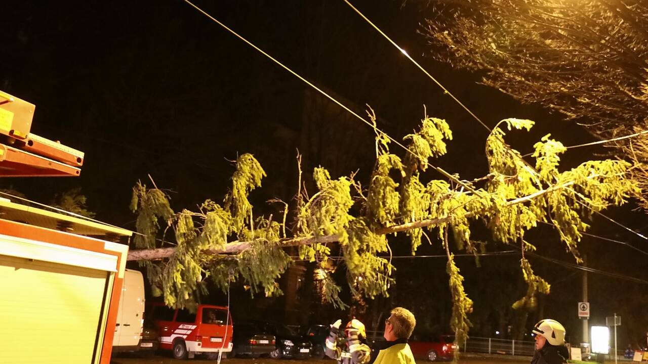In der Stadt Salzburg musste die Feuerwehr eine Oberleitung von einem umgestürzten Baum befreien.  In der Stadt Salzburg musste die Feuerwehr eine Oberleitung von einem umgestürzten Baum befreien.