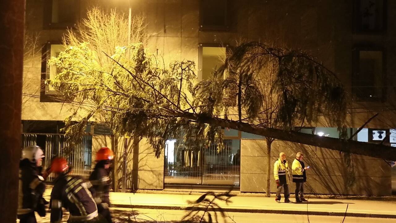 In der Stadt Salzburg musste die Feuerwehr eine Oberleitung von einem umgestürzten Baum befreien.  In der Stadt Salzburg musste die Feuerwehr eine Oberleitung von einem umgestürzten Baum befreien.