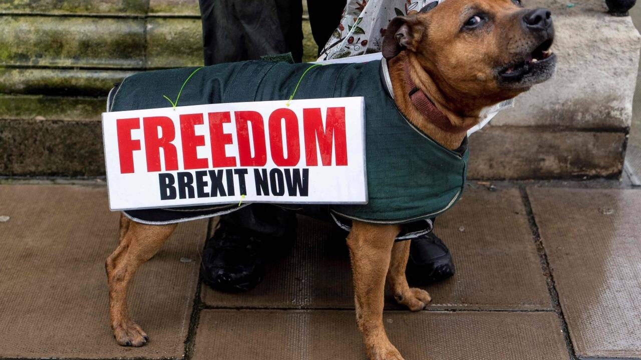 Befürworter und Gegner des Brexit demonstrieren am Dienstag, 12. März 2019, vor dem Parlament in London. Befürworter und Gegner des Brexit demonstrieren am Dienstag, 12. März 2019, vor dem Parlament in London.