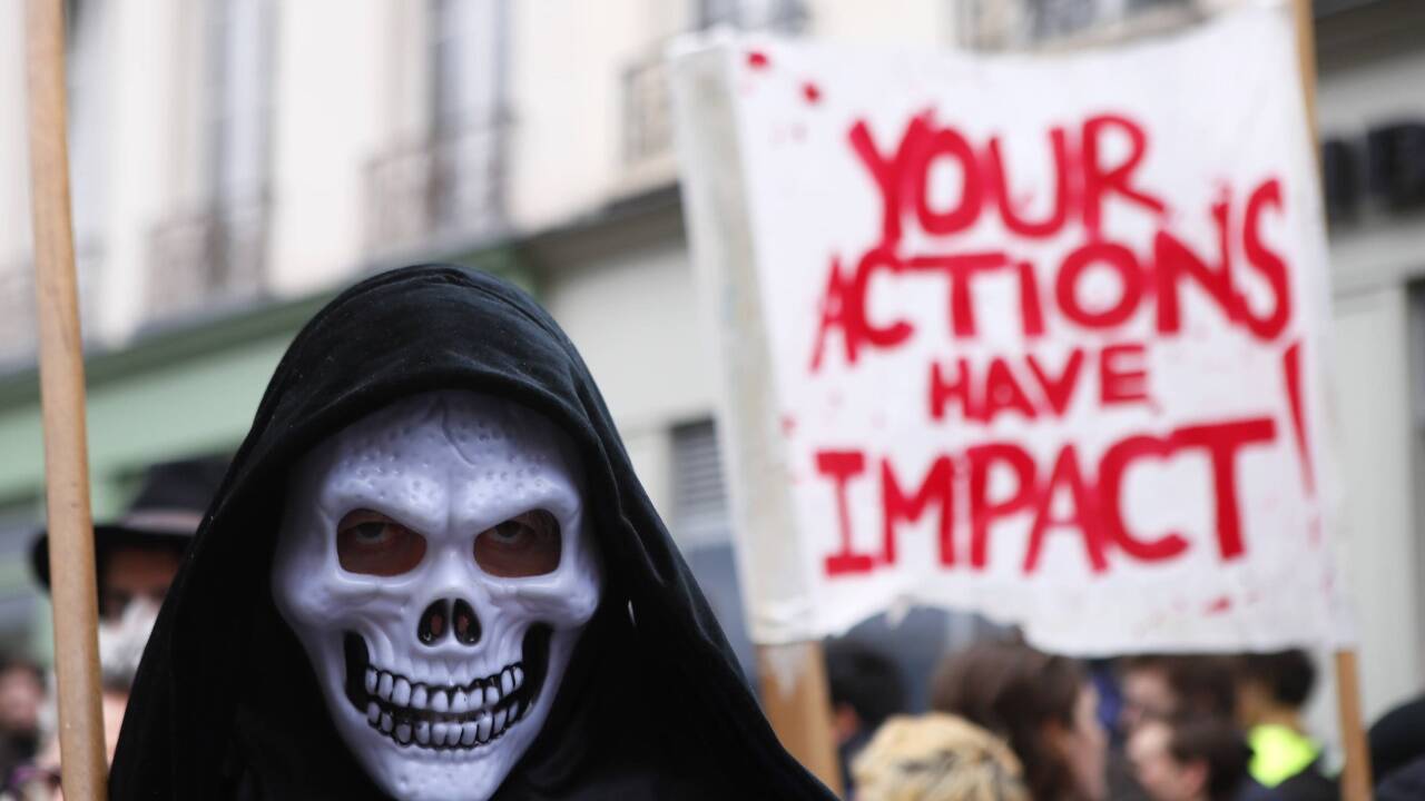 Demonstrant in Paris. 