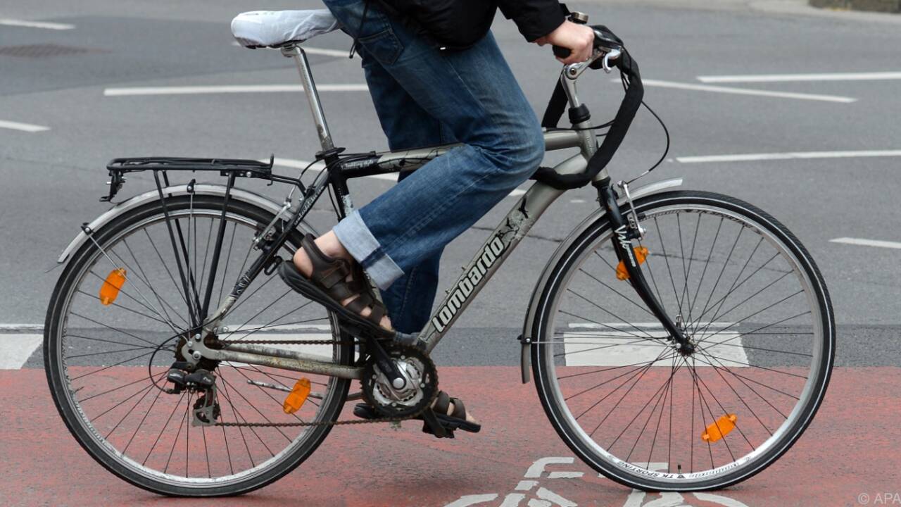 Jeder Österreicher radelt jährlich 280 Kilometer.  
