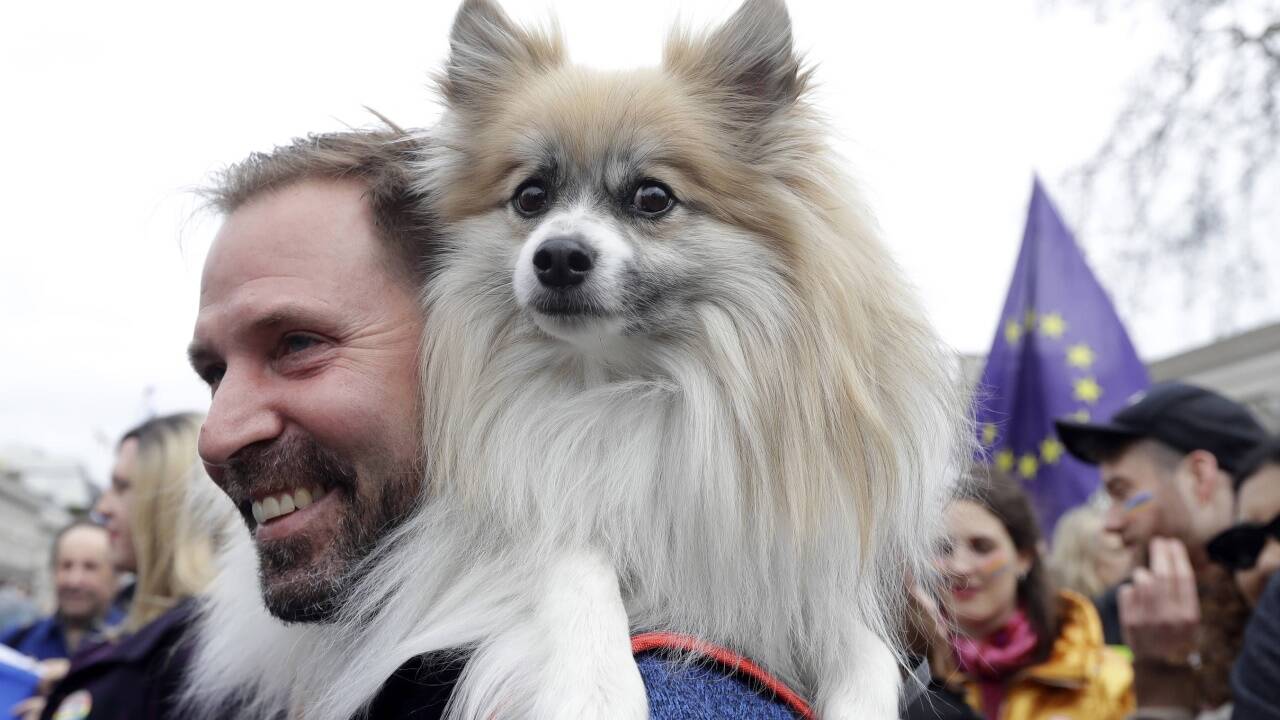 Impressionen der Massenproteste in London. 