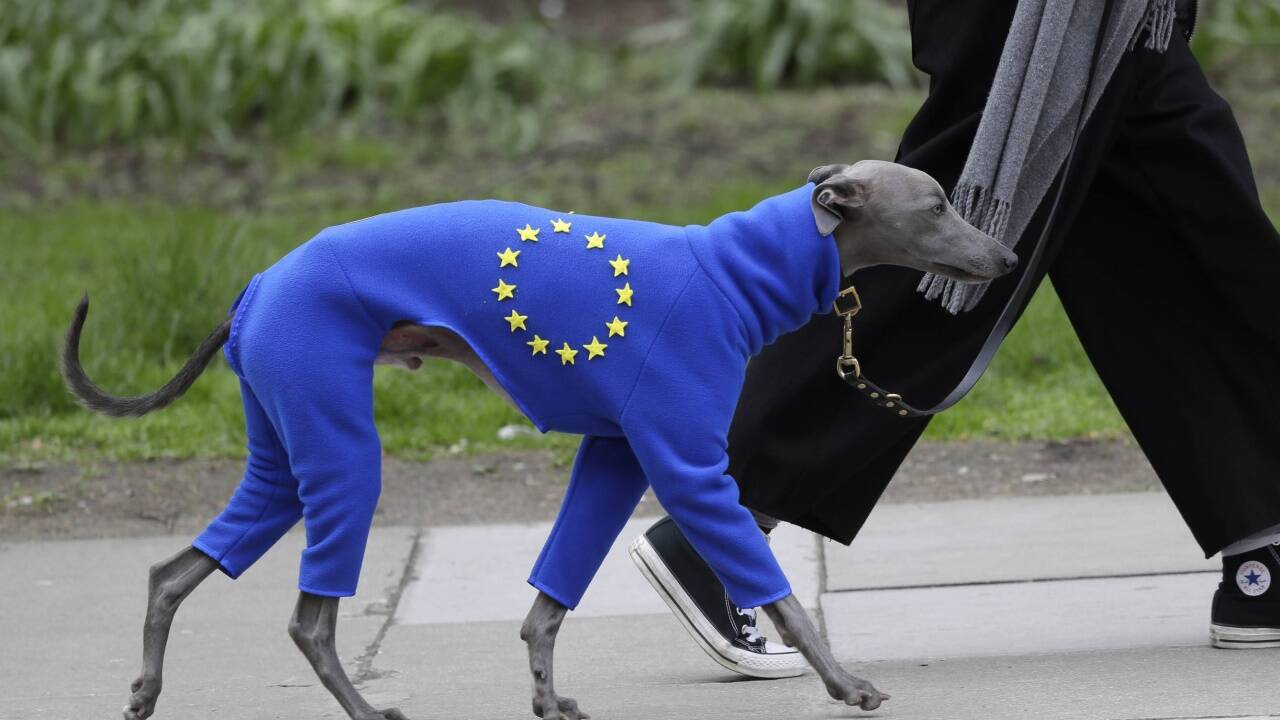 Impressionen der Massenproteste in London. 