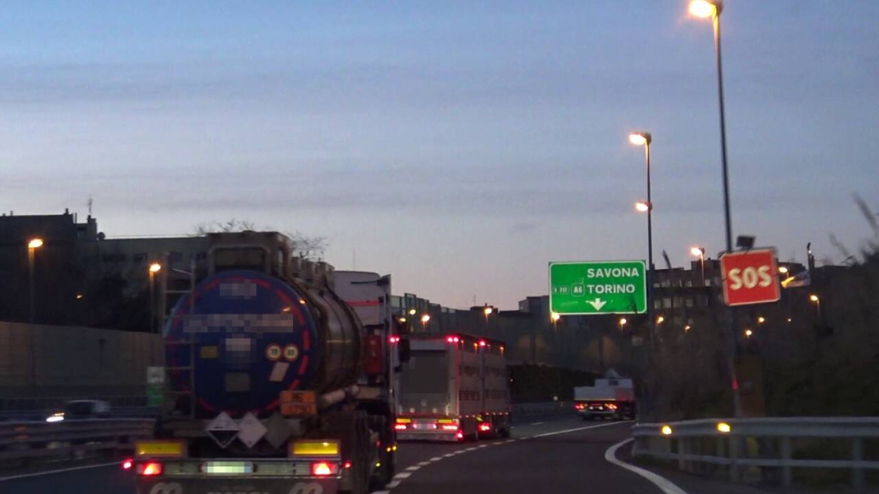 In Savona hätten die Kälber laut den Dokumenten versorgt werden müssen - doch der Lkw fuhr an der Ausfahrt vorbei. 