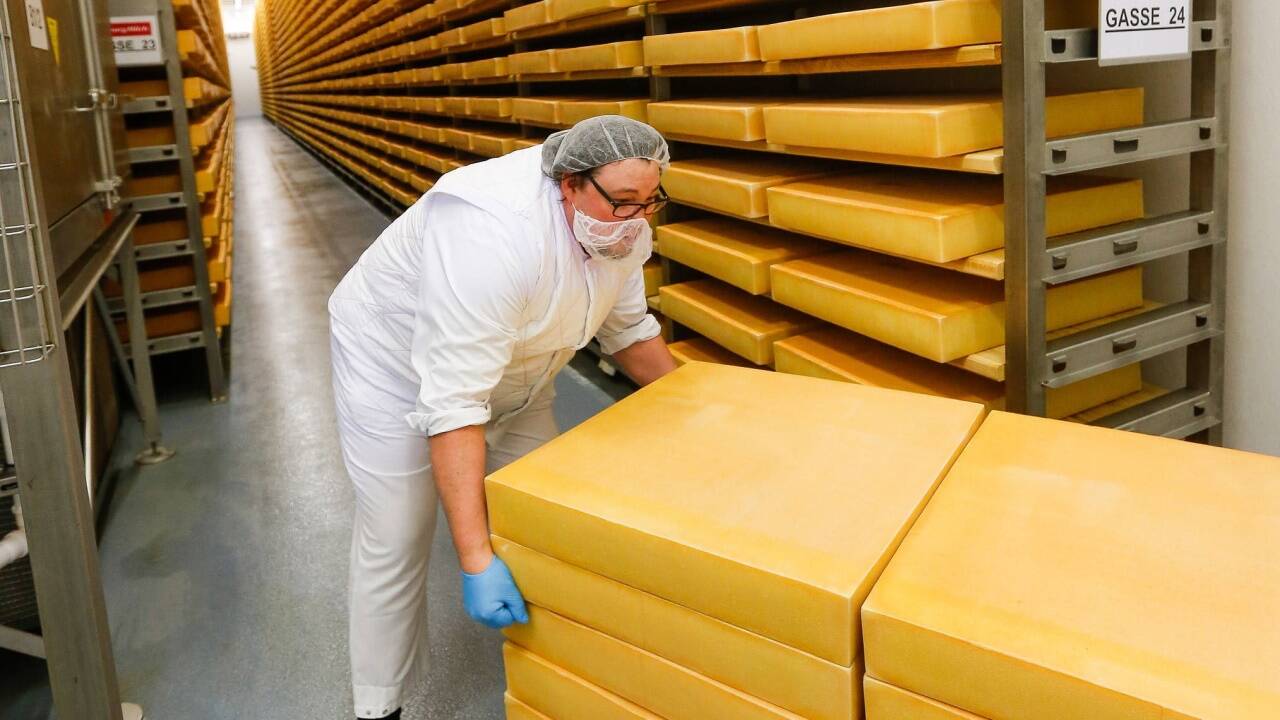 Alles Käse? Die Produktion im Werk in Lamprechtshausen ist seit der Eröffnung von 8000 auf 11.500 Tonnen gestiegen.  