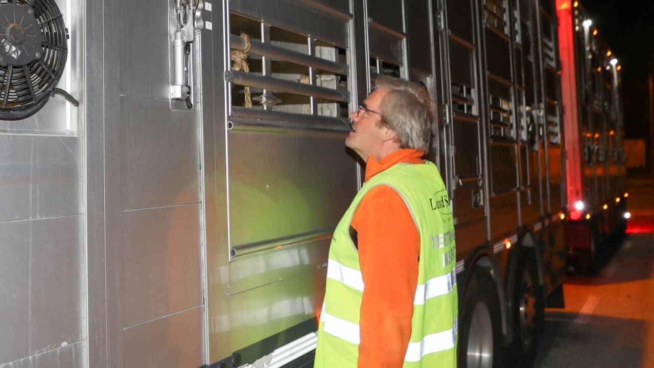 Salzburgs Tiertransportinspektor Manfred Pledl war in der Nacht auf Dienstag wieder bei Kontrollen an der Autobahn unterwegs 