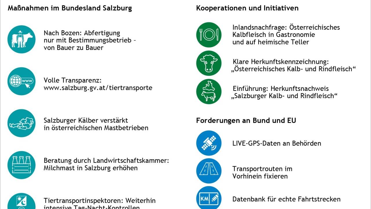 Das Forderungs- und Maßnahmenpaket im Überblick. 