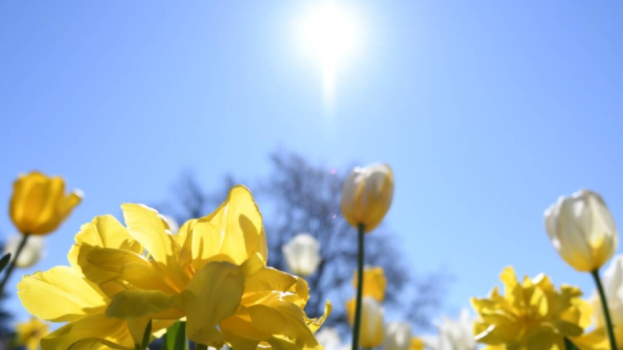 Ab 25 Grad gilt er als Sommertag  Ab 25 Grad gilt er als Sommertag