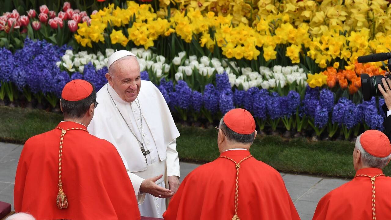 Papst Franziskus mit Kardinälen.   Papst Franziskus mit Kardinälen.