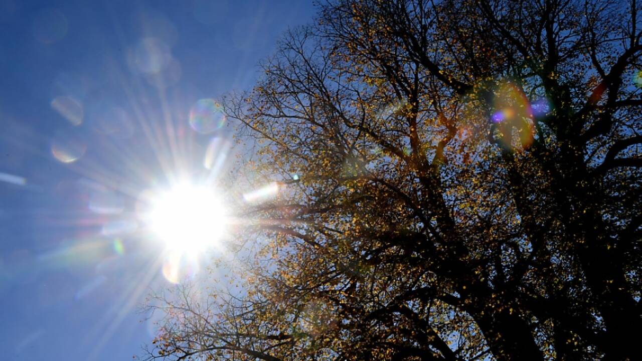 Das Wetter bleibt weitgehend mild  Das Wetter bleibt weitgehend mild