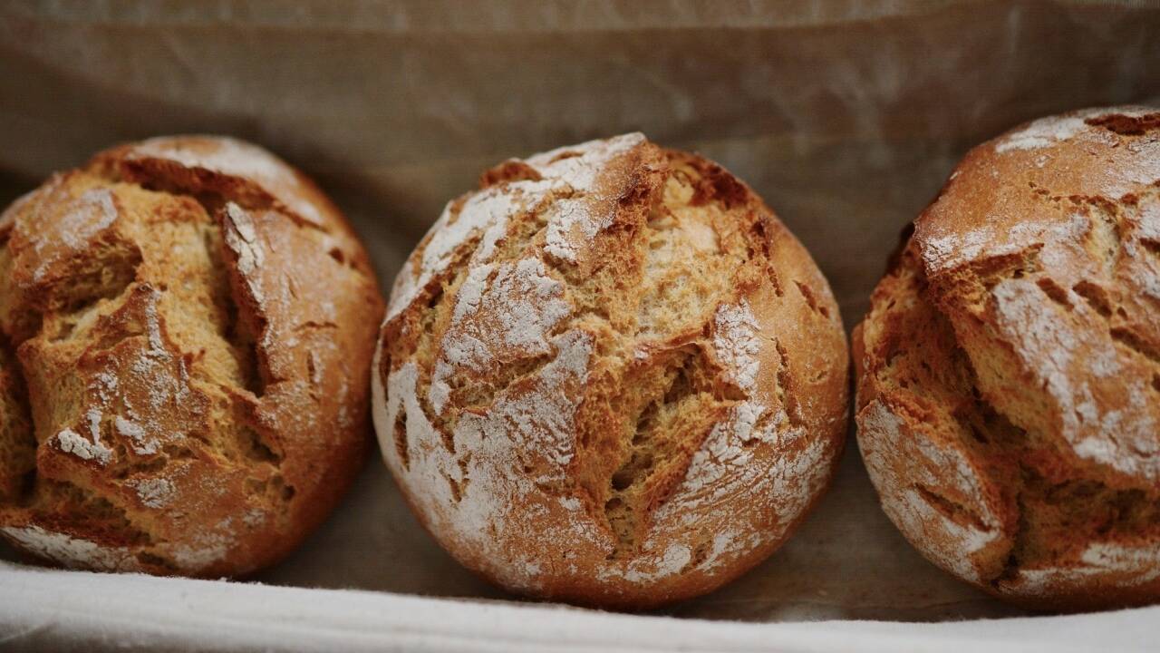 Die Haltbarkeit von Brot ist etwas kürzer, nur zwischen 1-2 Monate. Die Haltbarkeit von Brot ist etwas kürzer, nur zwischen 1-2 Monate.